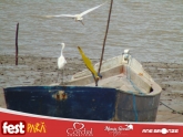 DSC00076-2