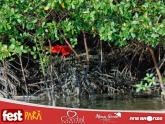 thumbnail_DSC01089-01