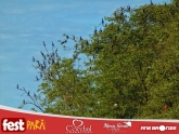 thumbnail_DSC01111-01