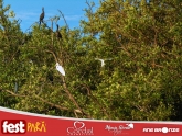 thumbnail_DSC01119-01