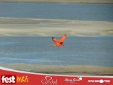 thumbnail_DSC01532-2