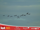 thumbnail_DSC01533-2