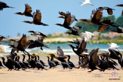 2b63e995-9c6d-4789-b53a-5449092c7050