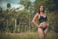 d304767a-9665-4832-991a-fb54187635ca