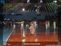 DSCN2946