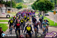 DSC8636