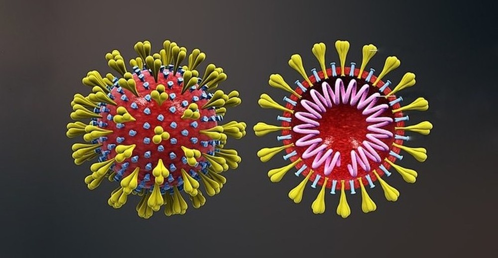 Políticos paraenses infectados com coronavírus