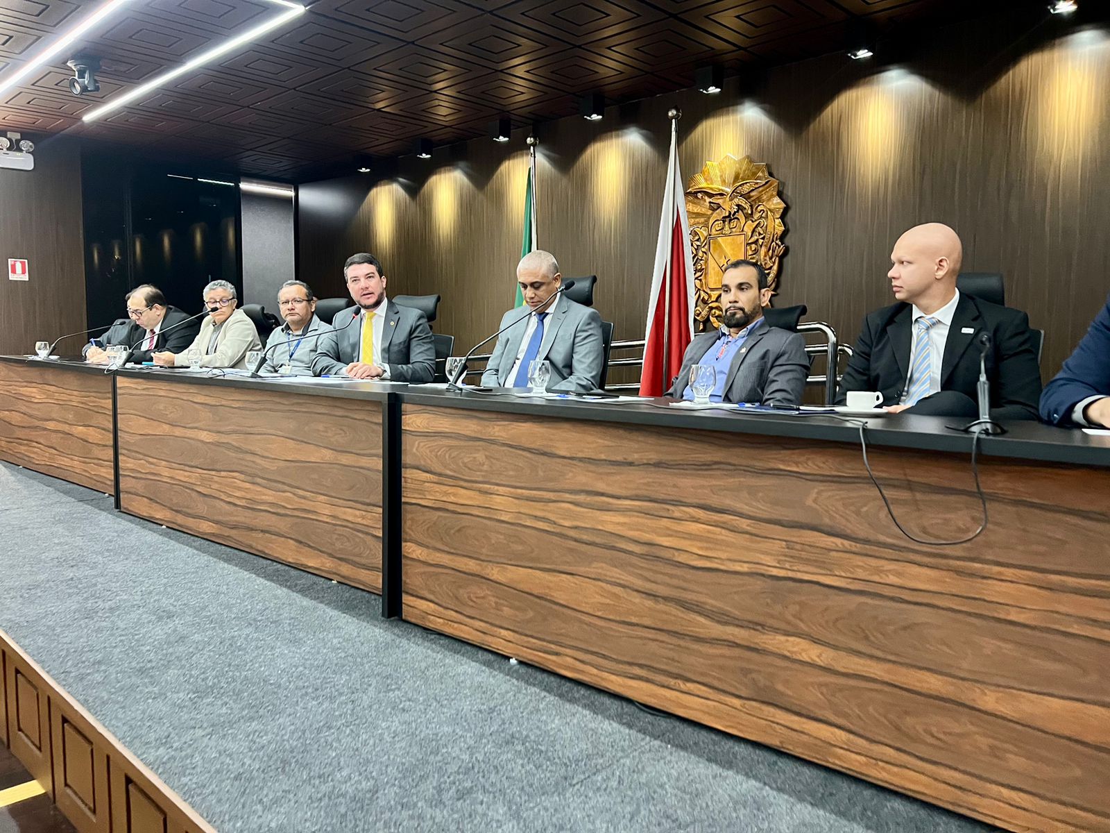 ALEPA DISCUTE EXPLORAÇÃO MINERAL EM AUDIÊNCIA PÚBLICA PRESIDIDA PELO DEPUTADO RONIE SILVA
