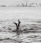 'Entre Águas': exposição de fotógrafos paraenses destaca a água na identidade amazônica