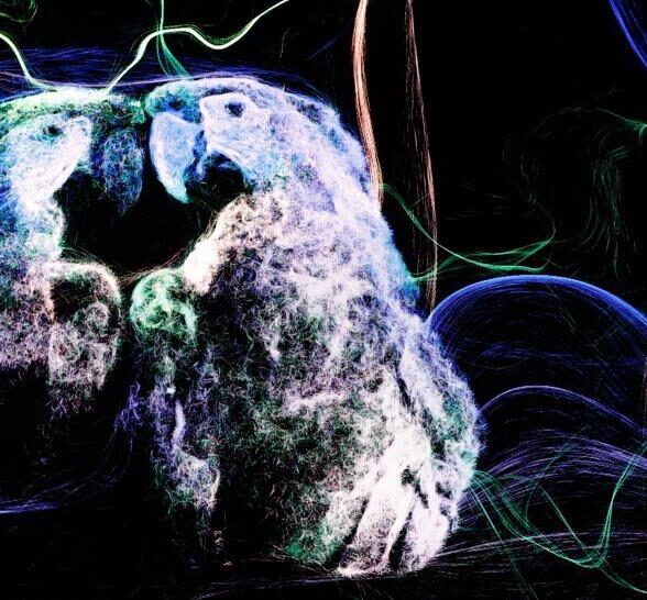 Instalação 'Floresta de Luz' leva Carajás ao Rock in Rio Brasil 2026