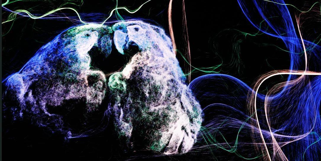 Instalação 'Floresta de Luz' leva Carajás ao Rock in Rio Brasil 2026